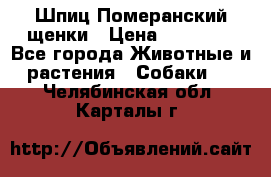 Шпиц Померанский щенки › Цена ­ 25 000 - Все города Животные и растения » Собаки   . Челябинская обл.,Карталы г.